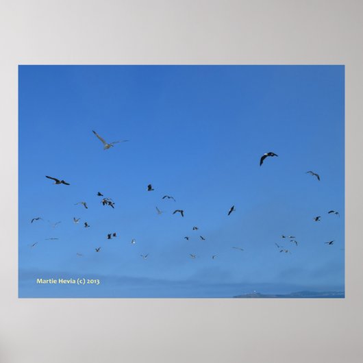 Poster Les oiseaux de plage (Devant)