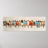 Poster Les oiseaux mignons (Devant)