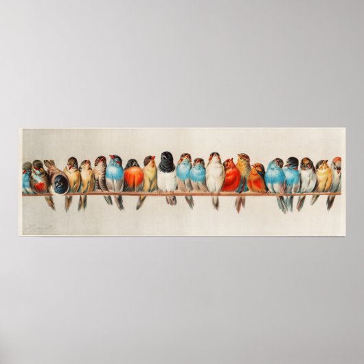 Poster Les oiseaux mignons (Devant)