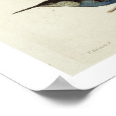 Poster Les oiseaux natifs, dont le Toucan (centre), Amazo (Coin)