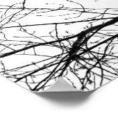 Poster les oiseaux noirs (Coin)