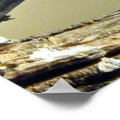 Poster les oiseaux sont les seuls animaux à avoir des plu (Coin)