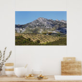 Poster Les Oliviers (Cuisine)