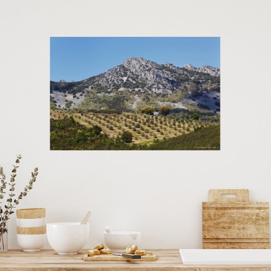 Poster Les Oliviers (Cuisine)