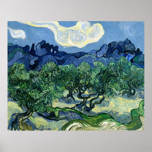 Poster Les oliviers de Vincent van Gogh (Devant)