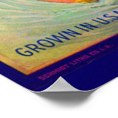 Poster Les oranges de la marque Victoria étiquette dans l (Coin)