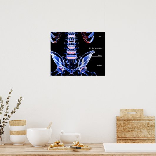 Poster Les os du bas du dos (Cuisine)