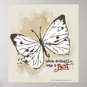 Poster Les papillons blancs sont un parasite