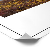 Poster Les parcs nationaux (Coin)