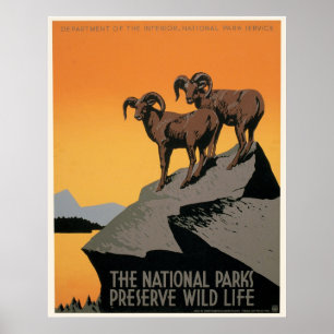 Poster Les Parcs Nationaux Préservent La Faune
