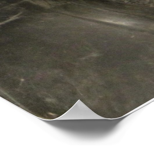 Poster Les pêches (Coin)