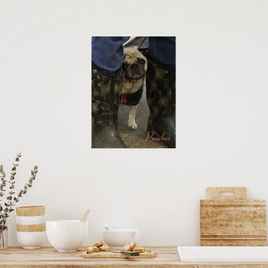 Poster Les pêches (Cuisine)