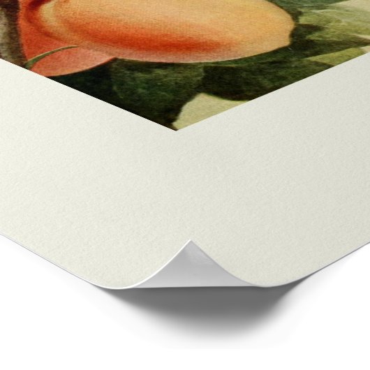 Poster Les pêches (Coin)