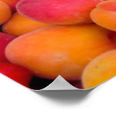 Poster Les pêches (Coin)