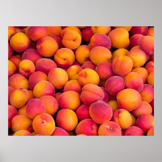 Poster Les pêches (Devant)