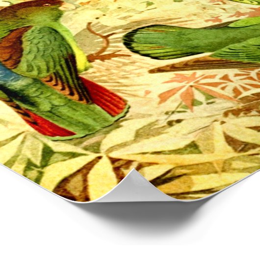 Poster Les perroquets (Coin)