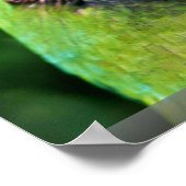 Poster Les perroquets (Coin)