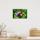 Poster Les perroquets (Cuisine)