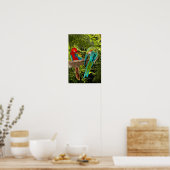 Poster Les perroquets macaw dans une forêt tropicale (Cuisine)