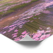 Poster Les pétales de Sakura sur l'eau (Coin)