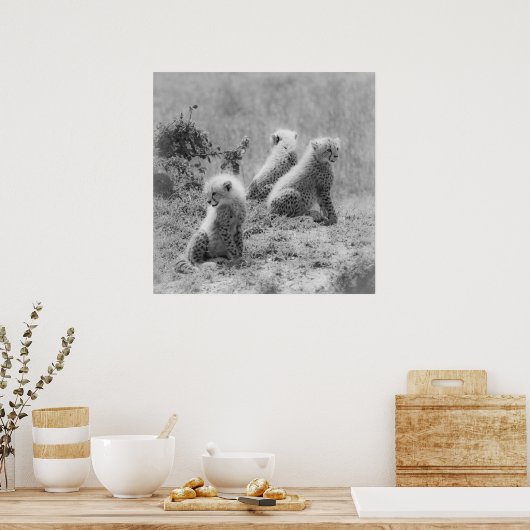 Poster Les petits de Cheetah (Cuisine)