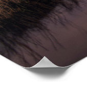 Poster Les phares | Bodie Island Outerbanks (Coin)