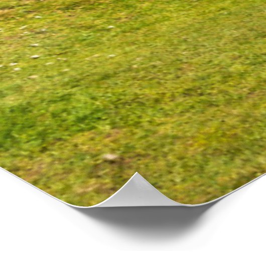 Poster Les phares | Fanad Head Lighthouse Irlande (Coin)