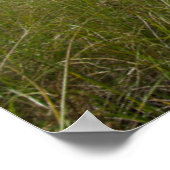 Poster Les phares | Massachusetts de phare (Coin)