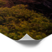 Poster Les phares | Phare Cap Brett Nouvelle-Zélande (Coin)