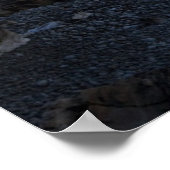 Poster Les phares | Phare du Cap Elizabeth Maine (Coin)