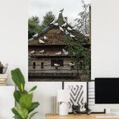 Poster Les pigeons à la maison. (Bureau à domicile)