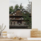 Poster Les pigeons à la maison. (Cuisine)