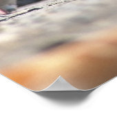 Poster Les pigeons ambulants (Coin)