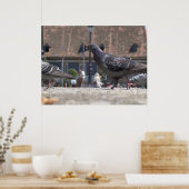 Poster Les pigeons ambulants (Cuisine)