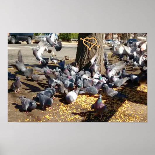 Poster Les pigeons se rassemblent autour de l'arbre avec  (Devant)