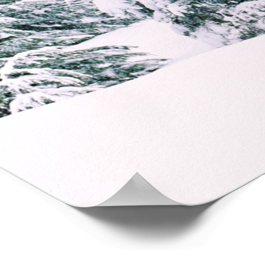 Poster Les pins couverts de neige (Coin)