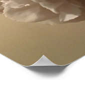 Poster Les pivoines, (Coin)