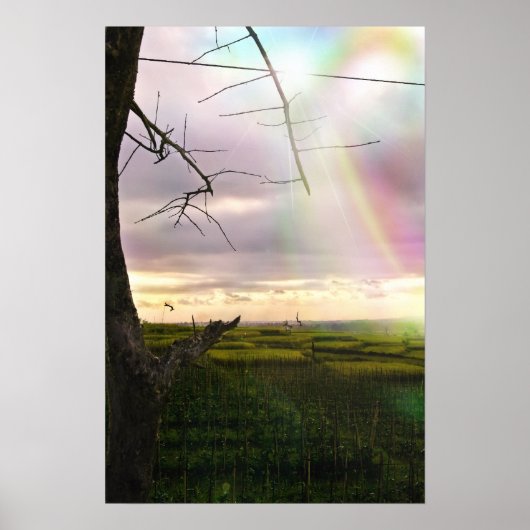 Poster Les plaines de Bali (Devant)