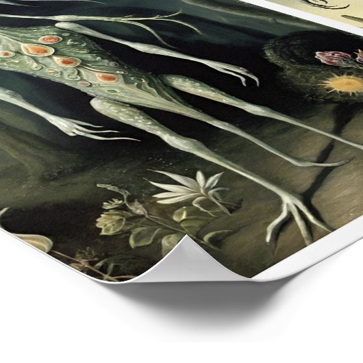 Poster Les planteurs (Coin)