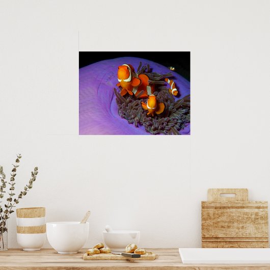 Poster Les poissons clowns sont toujours en mouvement | A (Cuisine)