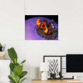 Poster Les poissons clowns sont toujours en mouvement | A (Bureau à domicile)