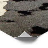 Poster Les Postmen du Far | Arthur Heming | (Coin)