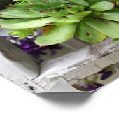 Poster Les Poules Et Les Poulets Succulent Dans Une Natur (Coin)