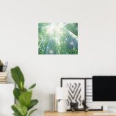 Poster Les poutres de soleil brillent à travers les bambo (Bureau à domicile)