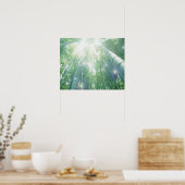 Poster Les poutres de soleil brillent à travers les bambo (Cuisine)