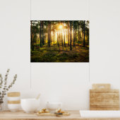 Poster Les poutres du soleil brille dans la pinède (Cuisine)