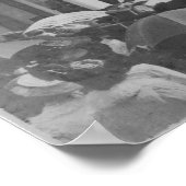 Poster Les premières courses de parc Phoenix, 1903 (Coin)