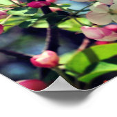 Poster Les premières fleurs de crabe du printemps 3 gros (Coin)