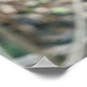 Poster Les premiers bourgeons (Coin)