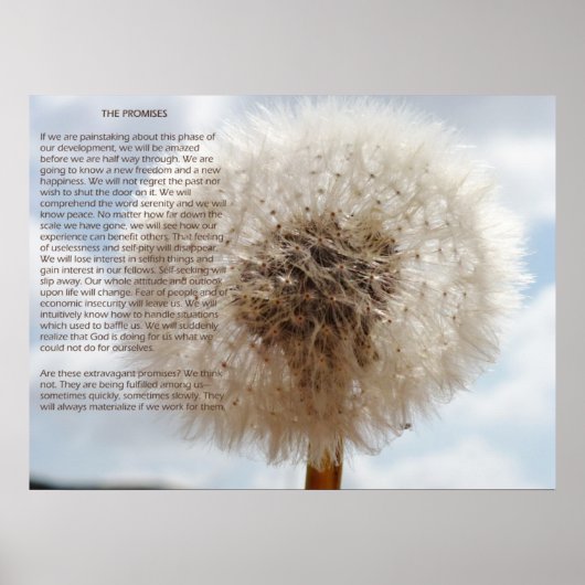 Poster Les promesses (Devant)